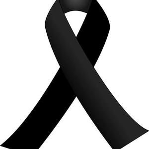 Meet your Posher, Luis